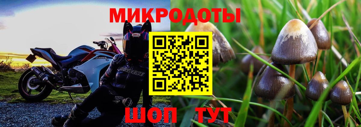 Галлюциногенные грибы мицелий Лабинск