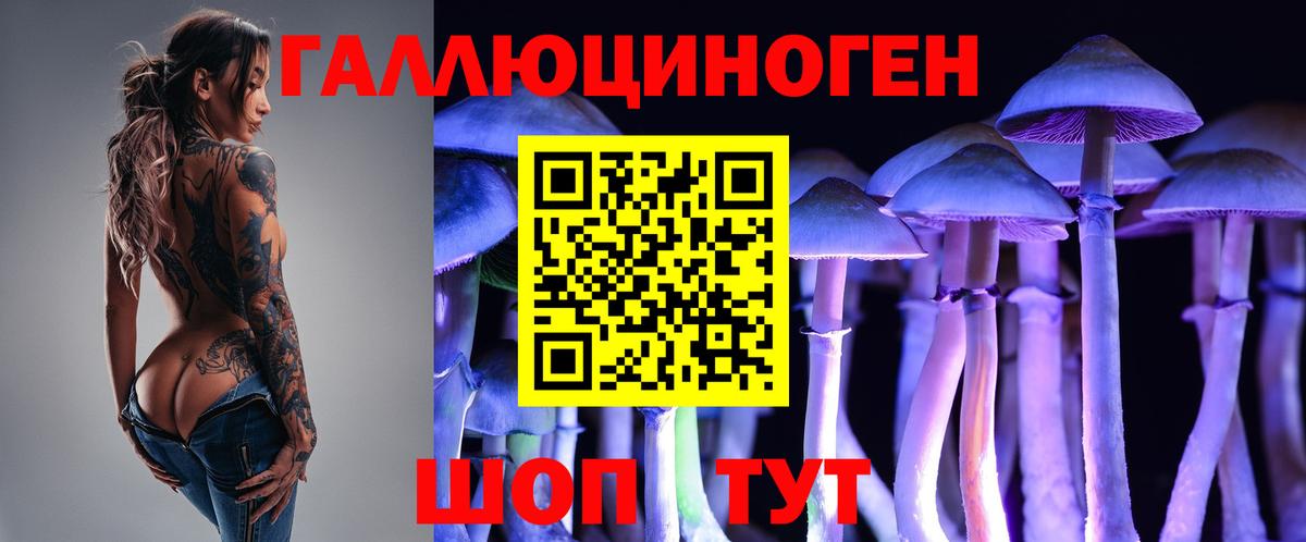 Псилоцибиновые грибы ЛСД  Вход с VPN  Галлюциногенные грибы ЛСД  Лабинск 